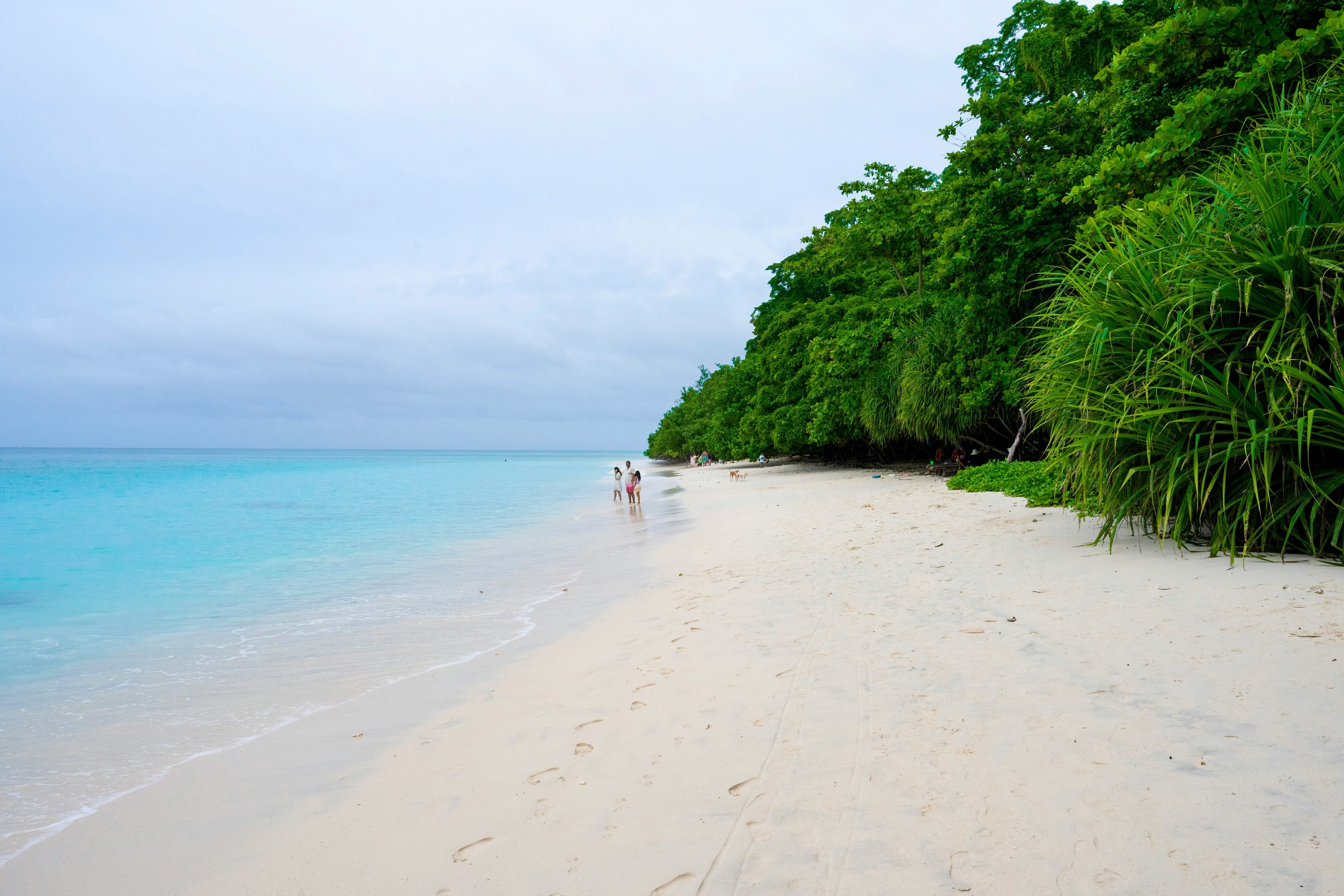 Five Beaches Worth The Ferry Ride
