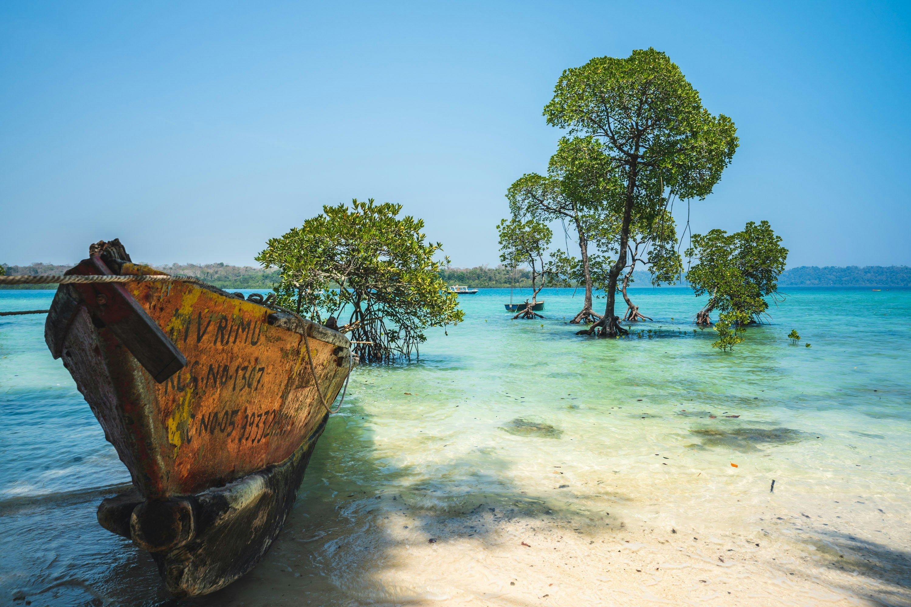 Sea Turtles Of The Andamans
